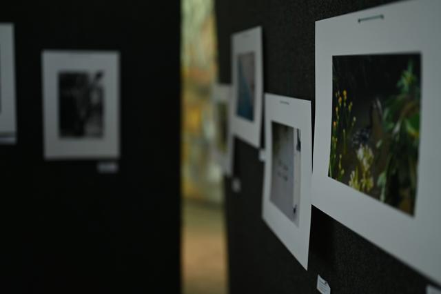 DSC_6261[1]