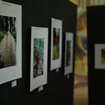 DSC_6262[1]