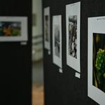 DSC_6263[1]