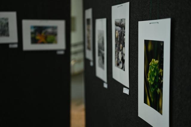 DSC_6263[1]