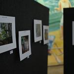 DSC_6264[1]