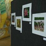 DSC_6270[1]