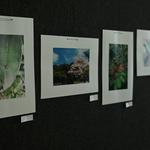 DSC_6276[1]
