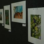 DSC_6279[1]