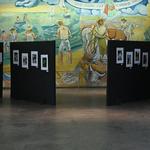 DSC_6282[1]