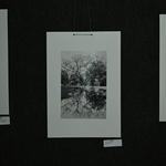 DSC_6288[1]
