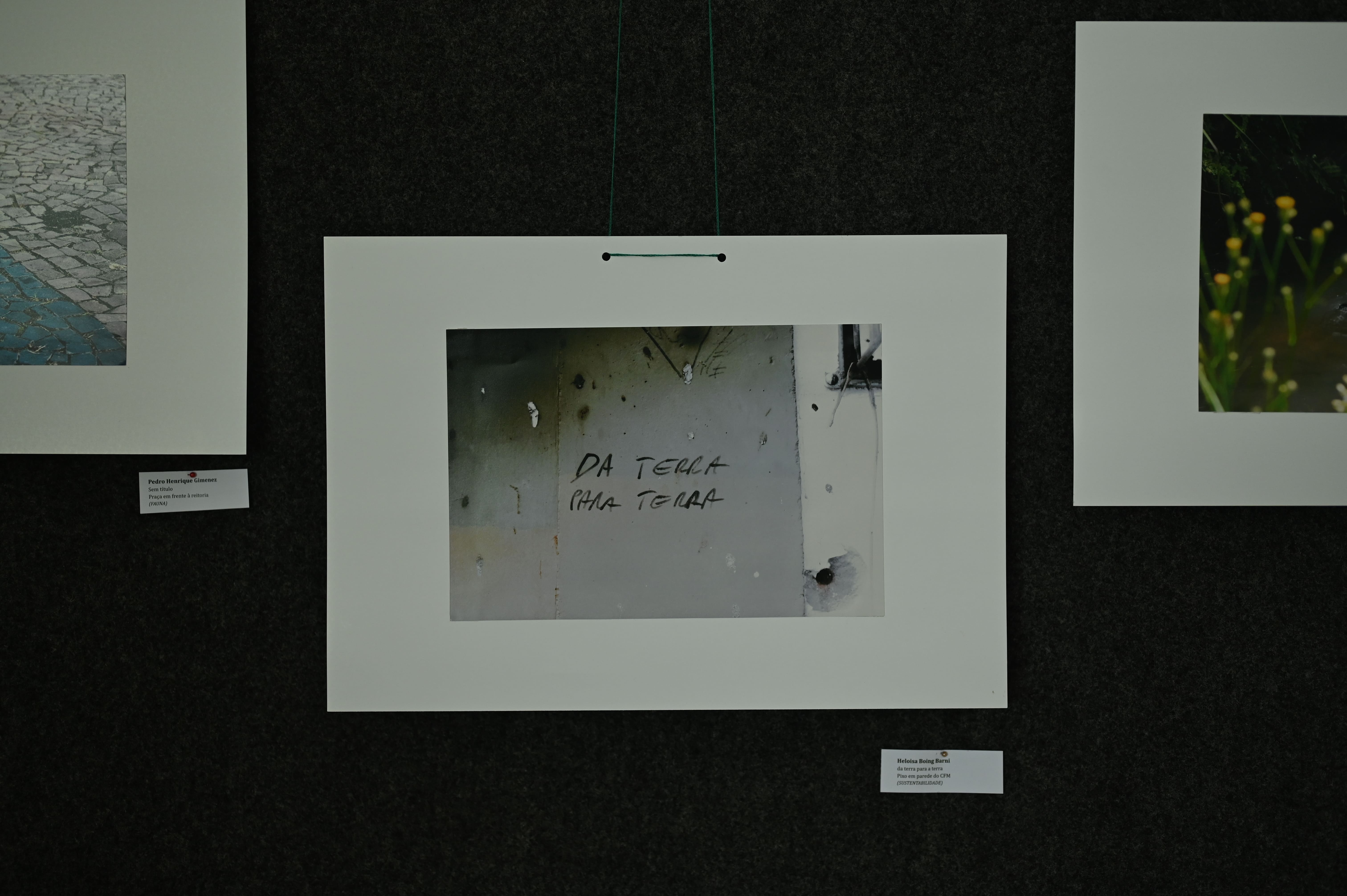 DSC_6289[1]
