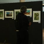 DSC_6294[1]