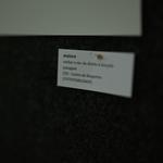DSC_6296[1]