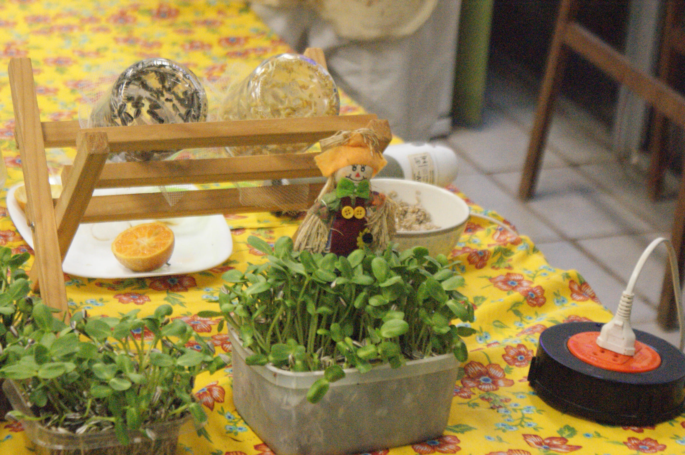DSC04153