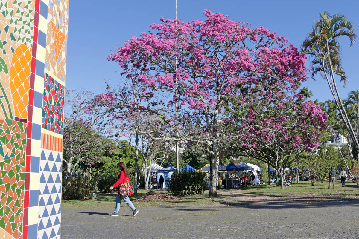 Campus Florianópolis - Foto: Gustavo Diehl