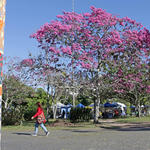 Campus Florianópolis - Foto: Gustavo Diehl