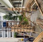 IMG_01 - 2024-03-05