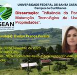 Divulgação visual das defesas 20252_Evelyn Pereira