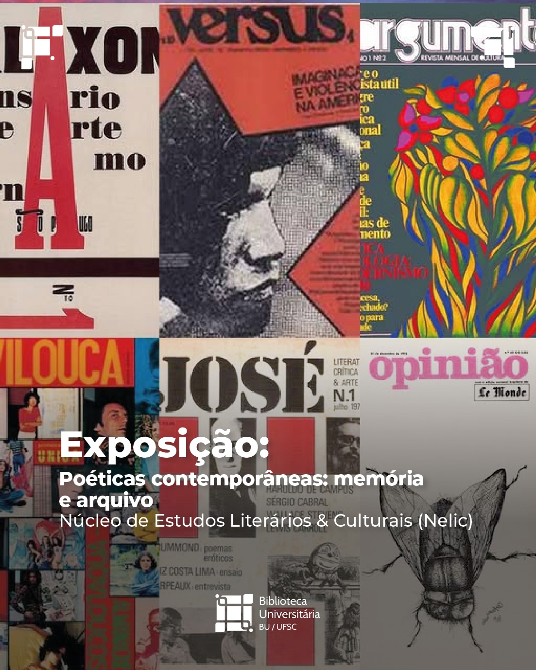 540452833_18218337325307036_4446327853581353802_n