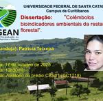 Divulgação visual das defesas_20252