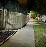 IMG_01 - 2024-03-12