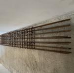 IMG_08 - 2024-06-26