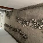 IMG_03 - 2024-09-11