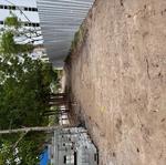 IMG_08 - 2025-04-07