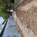 IMG_09 - 2025-04-07
