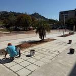 IMG_11 - 2025-08-13