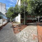 IMG_04 - 2025-08-28
