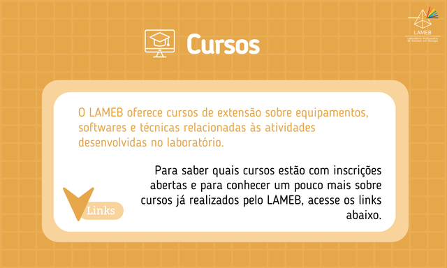 Cursos