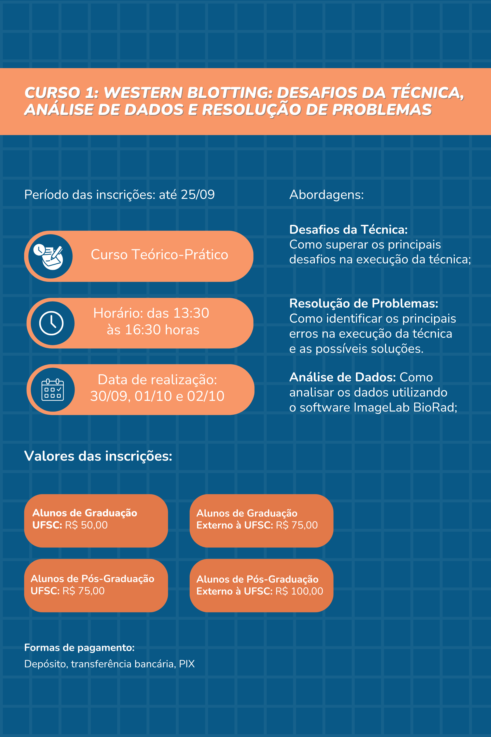 Curso 1