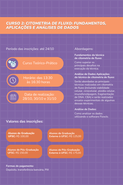 Curso 2
