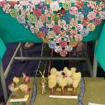 WhatsApp Image 2025-10-29 at 17.33.18 (1)