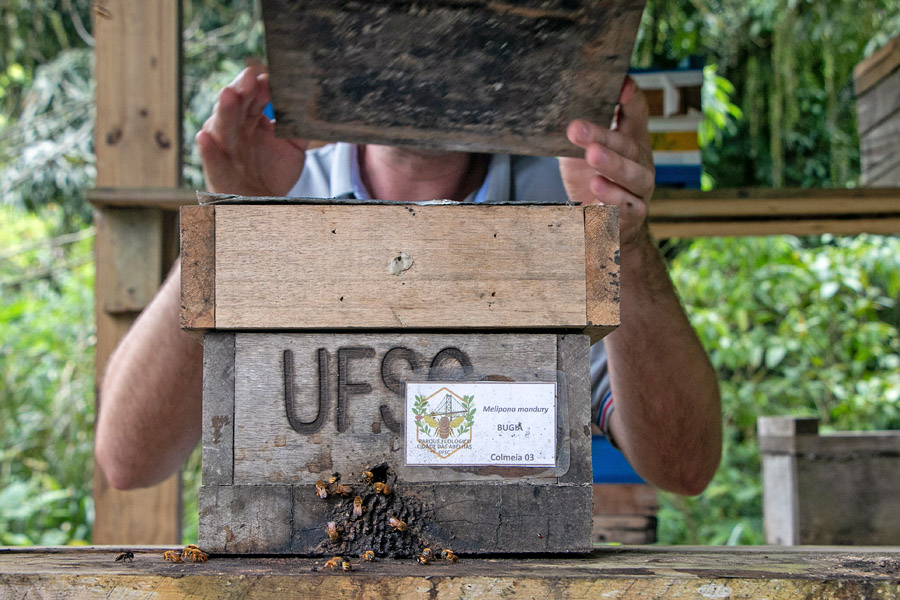 Parque Ecológico Cidade das Abelhas - Foto: Gustavo Diehl