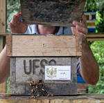 Parque Ecológico Cidade das Abelhas - Foto: Gustavo Diehl