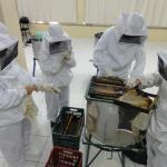 20111109 Fazenda apicultura aula extração mel 004.jpg