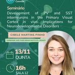 conviteseminariopvsst