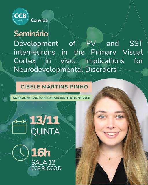 conviteseminariopvsst