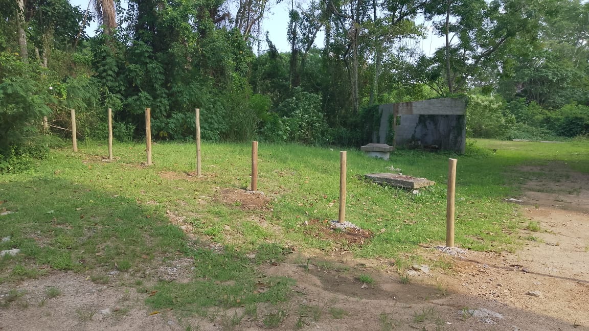 Foto 26 - 07-02-2025