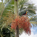 Parque Ecológico Cidade das Abelhas - Foto: Gustavo Diehl