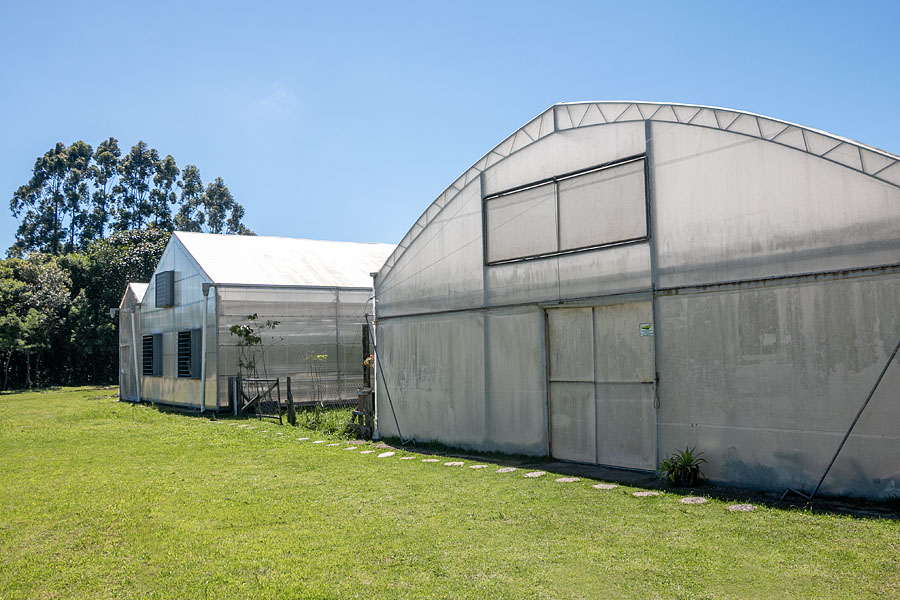 Fazenda Experimental da Ressacada - Foto Gustavo Diehl