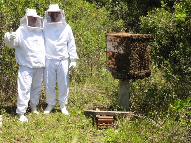 20111109 Fazenda apicultura aula extração mel 014.jpg