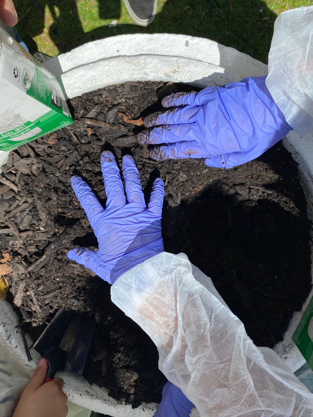 WhatsApp Image 2025-11-19 at 12.08.30