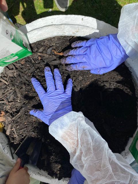 WhatsApp Image 2025-11-19 at 12.08.30