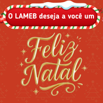 2512 Natal