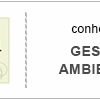 GESTAO