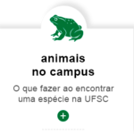 animais