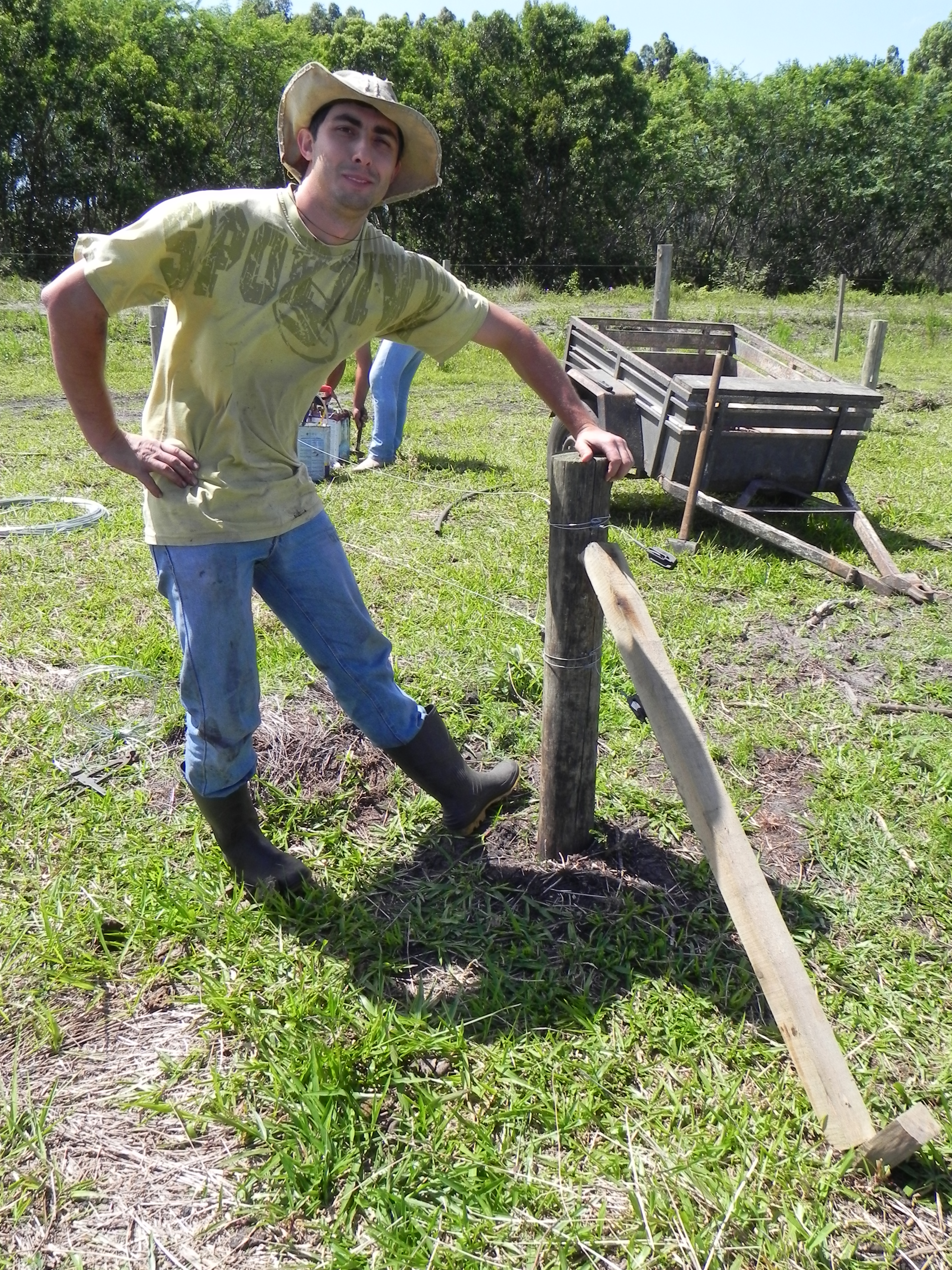 20111123 Fazenda Instalação cercas elétricas piquetes bovinos 002.jpg