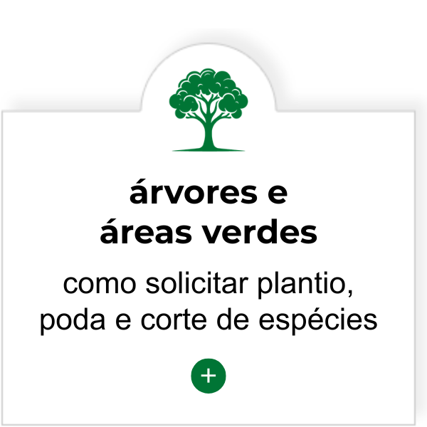 Setor