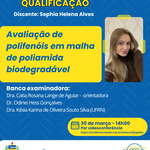 8. Qualificação Sophia