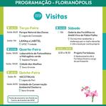 Programação por categoria-visitas