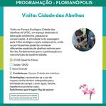 Programação individual visitas_cidade das abelhas